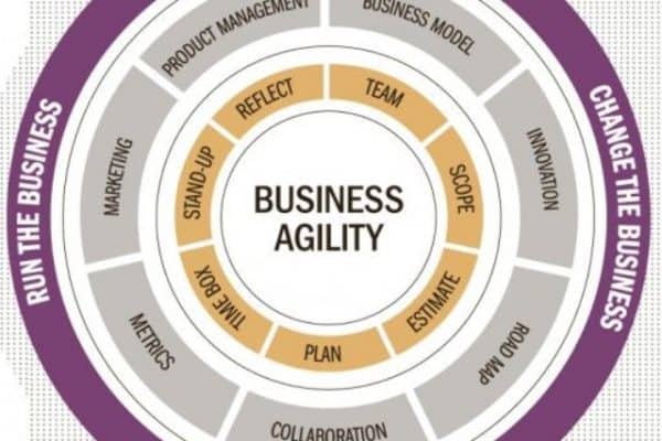 Business Agility Model