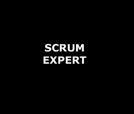 scrum expert