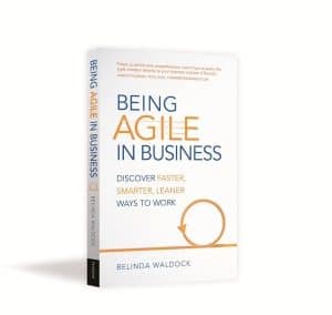 Being Agile in Business Book