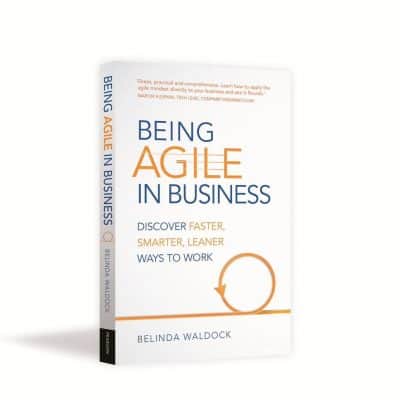 being agile in business book