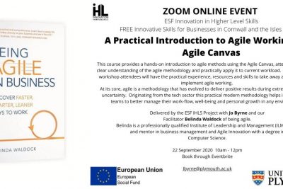 Agile Working Course - Online Event