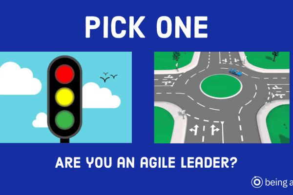 agile leadership - round about and traffic lights